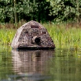 Buteo Photo Gear Floating Hide Grebe